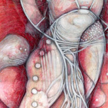 2012, Little Heart, mixed media on paper